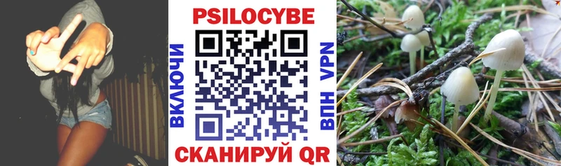 Псилоцибиновые грибы прущие грибы  Купить где  Белая Калитва 